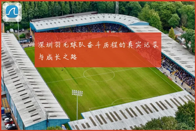 深圳羽毛球队奋斗历程的真实记录与成长之路