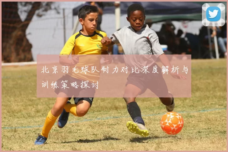 北京羽毛球队耐力对比深度解析与训练策略探讨