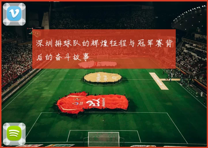 深圳排球队的辉煌征程与冠军赛背后的奋斗故事